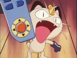 wallpapers Pokémon Johto Journeys Episode 14 gallery season 3 the johto journeys