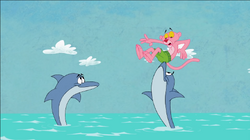 Hollywoodedge, Dolphin Chirps Vocal PE024601/Image Gallery
