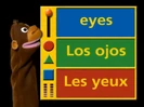 Bandicam 2021-09-05 14-35-24-763.jpg (64 KB) Baby Da Vinci: From Head to Toe (2004) (Videos) Hollywoodedge, Mantle Clock Ticks Sl PE179801