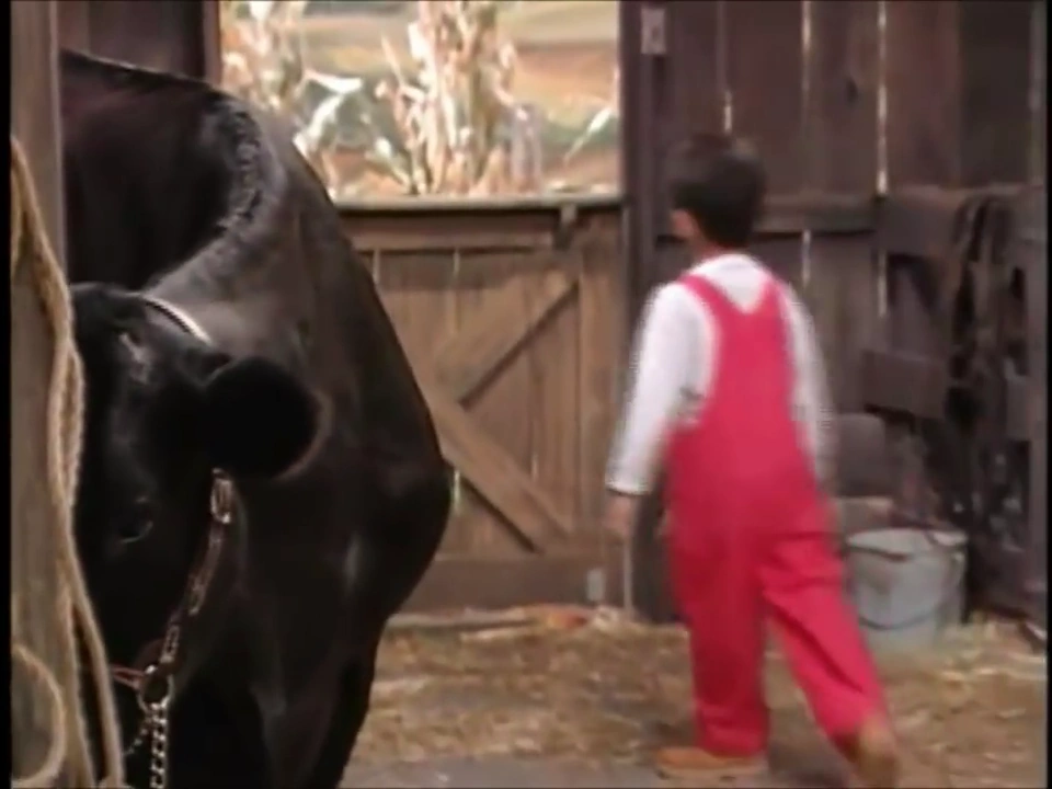 Sound Ideas, COW SINGLE MOO, ANIMAL 06 Soundeffects Wiki Fandom