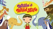 Willa's Wild Life