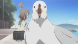 Desktop Wallpaper Cute Anime Girl, Outdoor, Art, Seagulls, Hd Image,  Picture, Background, Bccc89