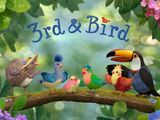 3rd & Bird