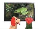 Hollywoodedge, Single Frog Croak Cl CRT013001 (High pitched.)