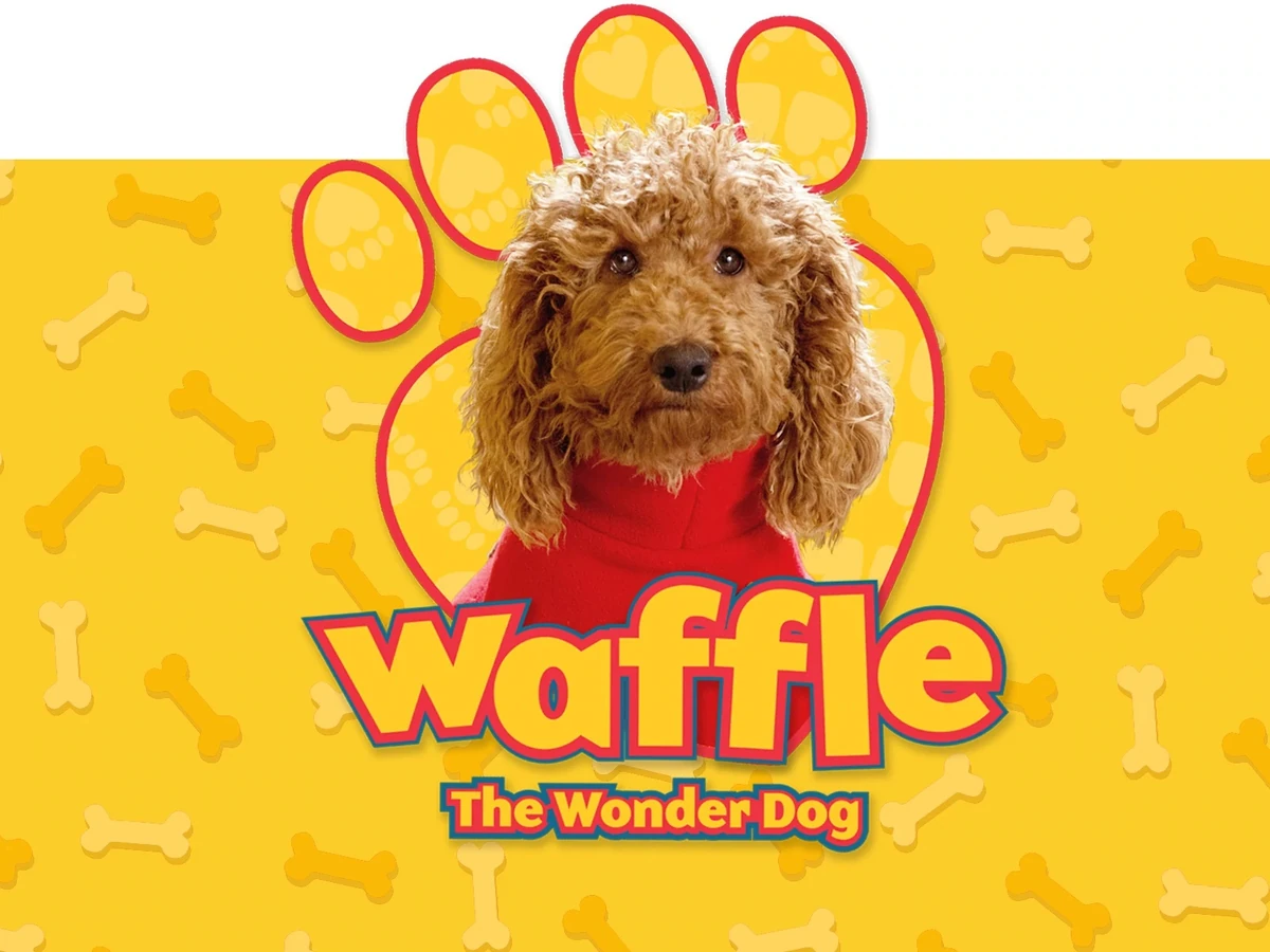 トップス DECO depuis 1985 uneune waffle tops dog DECO depuis 1985 デコ デュピュイス uneune waffle tops dog 90