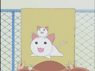 Azumanga Daioh Ep 4 Anime Cat Meow Sound 5