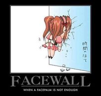 Facewall