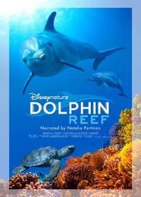 Dolphin Reef (2020)