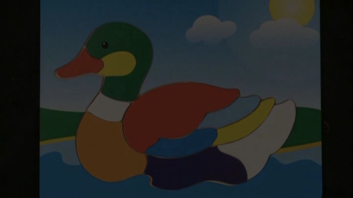 Sound Ideas, CARTOON, DUCK - SINGLE DUCK QUACKING 02 | Soundeffects
