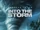 Into the Storm (2014)