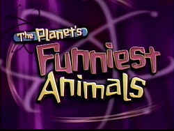 The Planet's Funniest Animals | Soundeffects Wiki | Fandom