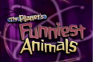 The Planet s Funniest Animals Game Shows Wiki Fandom