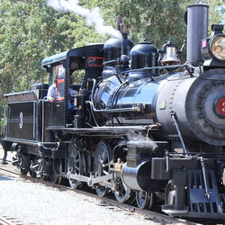 Steam train outlet whistle sound