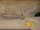 Hollywoodedge, Bullet Impact GlassD PE112601