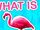 What is Flamingo?-3