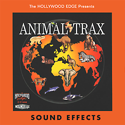 Sound Effects Library - Animal, Bobcat - Growl With Snarls And