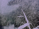 Bambi (1942) Hollywoodedge, Cymbal Crash CRT043802