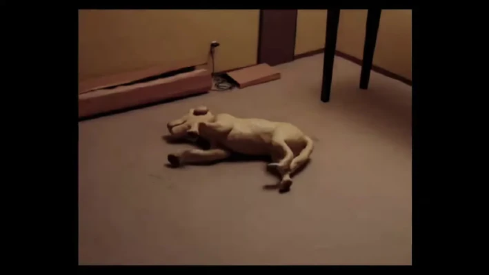 Cute Things Exploding | Soundeffects Wiki | Fandom