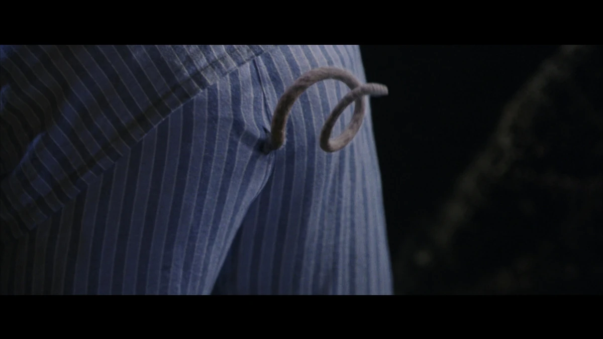 Sound Ideas, PIG, SCREECH C.U. SCREAMS, ANIMAL Soundeffects Wiki