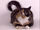 Hollywoodedge, Cat Purring Very Clos PE022701