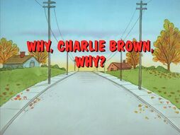 205px-Why charlie brown why title card-1-