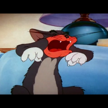 Tom Scream Image Gallery Tom Jerry Soundeffects Wiki Fandom The movie) is a 2021 american. tom scream image gallery tom jerry