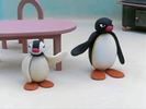Angry Pingu and Pinga