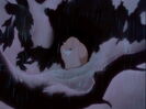 Bambi (1942) Hollywoodedge, Cymbal Crash CRT043802