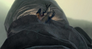 Ice Age: Dawn of the Dinosaurs (2009) SKYWALKER, ANIMAL - GUANLONG YELL (debut)