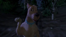 Scooby-Doo 2: Monsters Unleashed (2004) Sound Ideas, BOINK, CARTOON - BOINK 01 (4x)