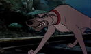The Fox and the Hound (1981) Sound Ideas, DOG - GERMAN SHEPHERD: ANGRY GROWLS AND BARKS, ANIMAL (growl only, higher pitched)