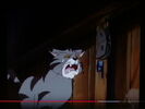 Hollywoodedge, Cats Two Angry YowlsD PE022601 (6th yowl)