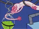 Dexter's Laboratory Sound Ideas, STRETCH, CARTOON - PLASTIC MAN STRETCH, FORWARD