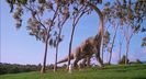 Jurassic Park, Brachiosaurus - Bellow