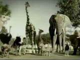 Budweiser - Zoo Menagerie (2005)