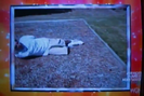 America's Funniest Home Videos Sound Ideas, GRUNT, CARTOON - STRAINING GRUNT, HUMAN 01