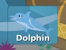Baby Noah: Animal Expedition (2004) (Videos) Sound Ideas, DOLPHIN - ATLANTIC BOTTLENOSE DOLPHIN: CALLING, ANIMAL 01