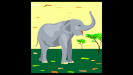 KLT Wild Partners In Rhyme, elephant1