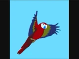 Valentino Macaw, 1 Bird