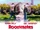 Roommates (1995)