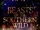 Beasts of the Southern Wild (2012)