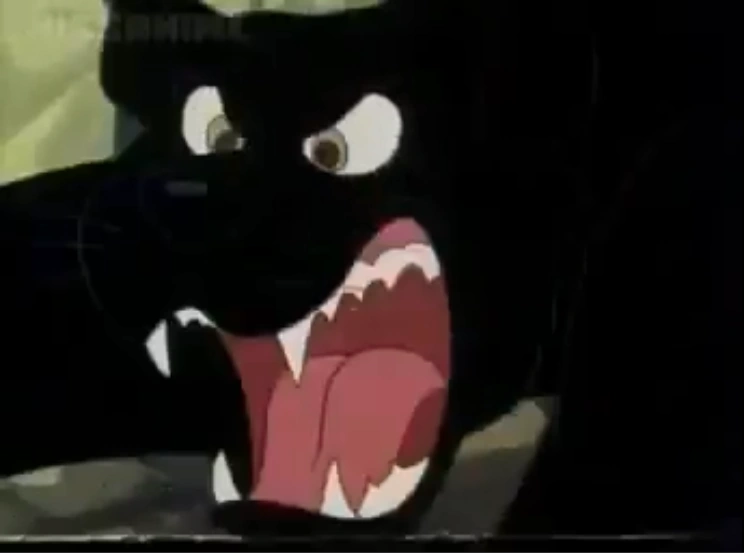 Hollywoodedge, Puma Cougar Roar Clas AT016801/Image Gallery