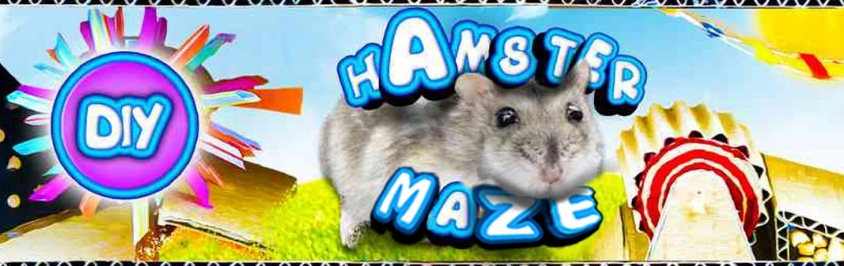 Hamster Maze on the App Store