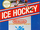 Ice Hockey (1988 Video Game)