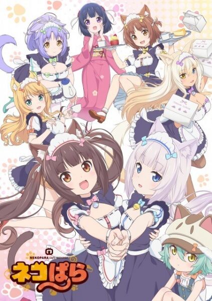 Nekopara Anime.jpg