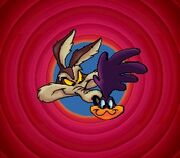 Wile E. Coyote's Revenge