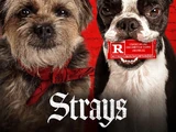 Strays (2023)