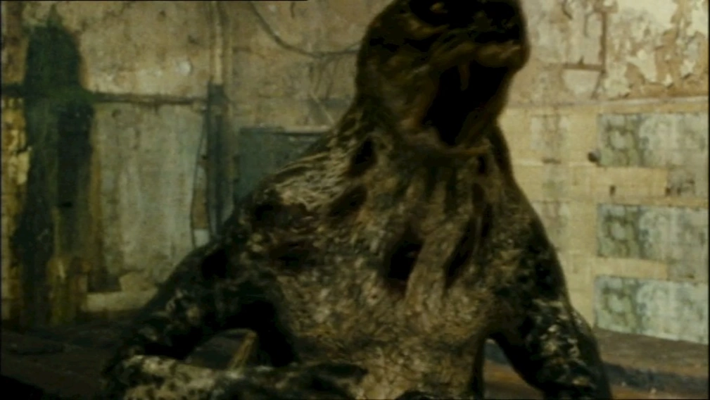 Hollywoodedge, Walrus Grunts Multip AT038501 Soundeffects Wiki Fandom