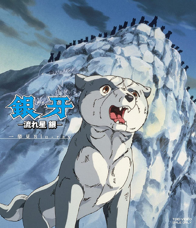 Ginga Nagareboshi Gin