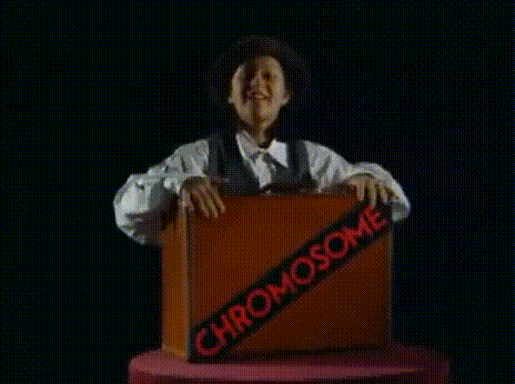 soundeffects.fandom.com